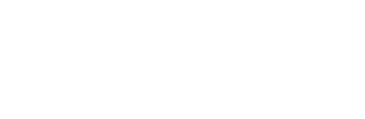 Lovely Jaiswal logo